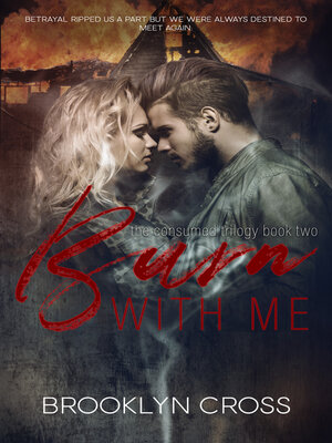 cover image of Burn With Me